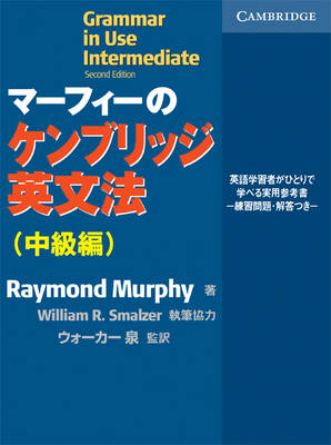 raymond murphy pre intermediate
